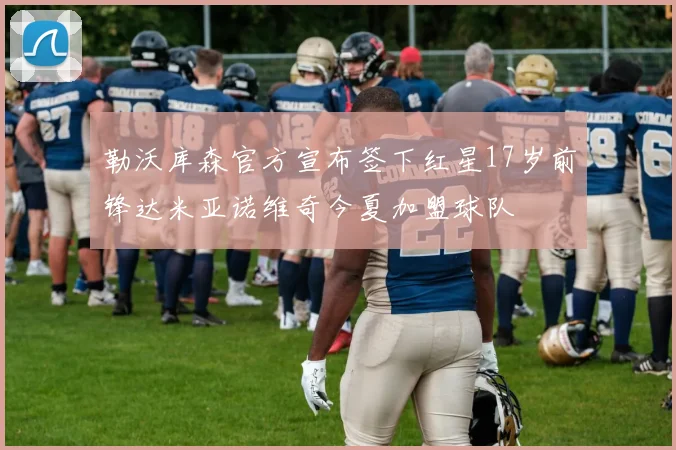 勒沃库森官方宣布签下红星17岁前锋达米亚诺维奇今夏加盟球队